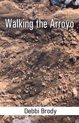 Debbi Brody - Walking the Arroyo, Häftad