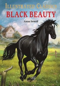 bokomslag Black Beauty: Illustrated Children Classics