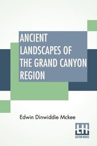 bokomslag Ancient Landscapes Of The Grand Canyon Region