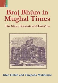 bokomslag Braj Bhum in Mughal Times