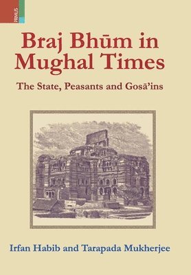bokomslag Braj Bhum in Mughal Times
