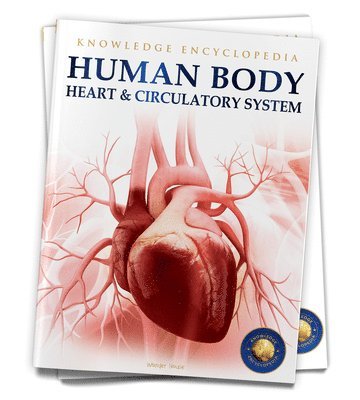 bokomslag Human Body: Heart and Circulatory System