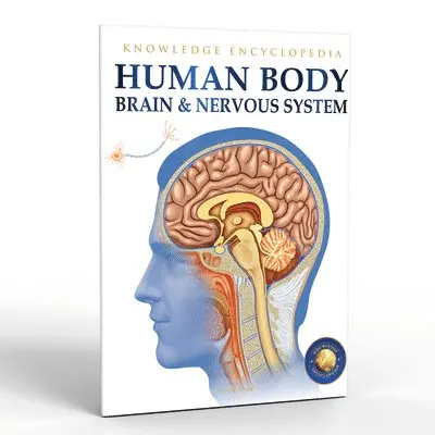 Wonder House Books - Human Body, Häftad. Tillgänglighet: Lägg i varukorg