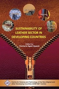 bokomslag Sustainability of Leather Sector in Developing Countries
