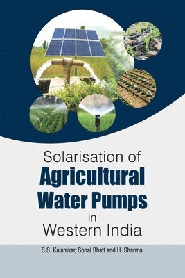 bokomslag Solarisation of Agricultural Water Pumps in Western India