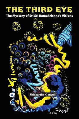bokomslag THE THIRD EYE-The Mystery of Sri Sri Ramakrishna's Visions