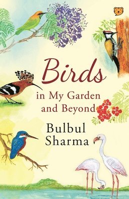 Birds in My Garden and Beyond 1