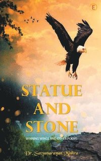 bokomslag Statue And Stone