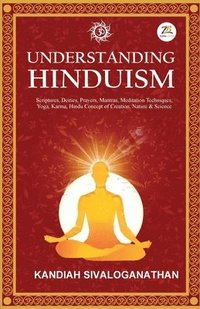 bokomslag Understanding Hinduism