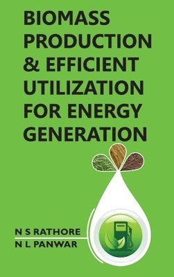 N. S. Rathore, N. L. Panwar - Biomass Production and Efficient Utilization for Energy Generation, Inbunden