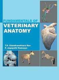 bokomslag Fundamentals of Veterinary Anatomy