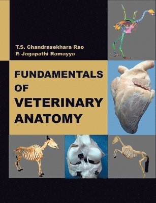 Fundamentals of Veterinary Anatomy