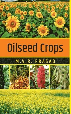 Oilseed Crops 1