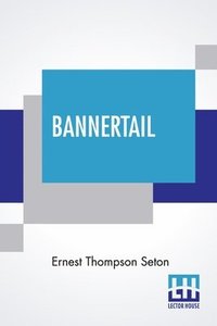 bokomslag Bannertail