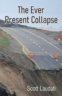 bokomslag The Ever Present Collapse