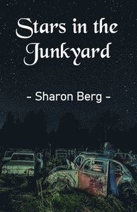 bokomslag Stars in the Junkyard