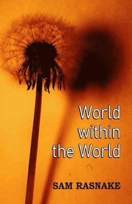 World within the World 1