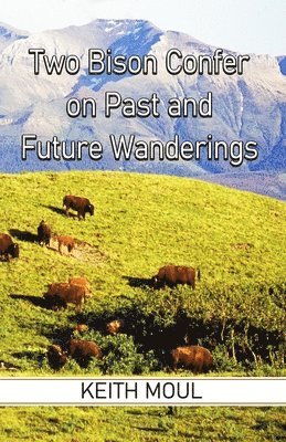 Two Bison Confer on Past and Future Wanderings 1