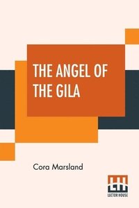 bokomslag The Angel Of The Gila