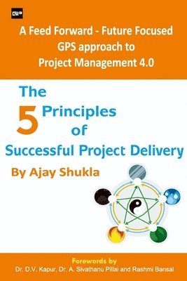 bokomslag 5 Principles of Successful Project Delivery