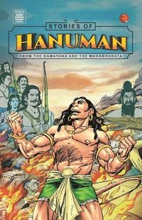 bokomslag Stories of Hanuman