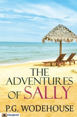 bokomslag Adventures of Sally