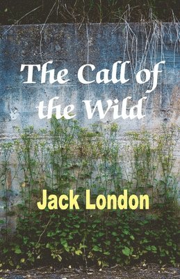 Jack London - Call of the Wild, Häftad