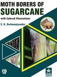 bokomslag Moth Borers of Sugarcane with Colored IIIustrations