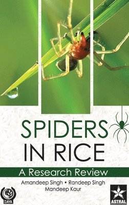 Spiders in Rice 1