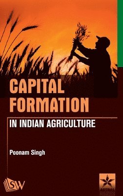 Poonam Singh - Capital Formation in Indian Agriculture, Inbunden