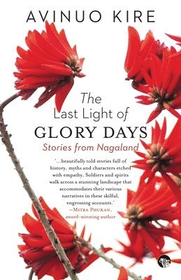 The Last Light of Glory Days 1