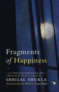 bokomslag Fragments of Happiness