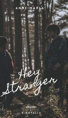 bokomslag Hey Stranger