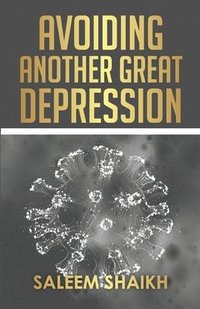 bokomslag Avoiding Another Great Depression
