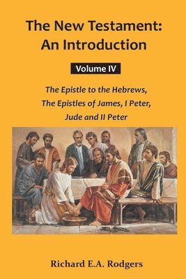 bokomslag New Testaments