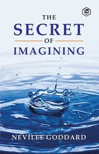 bokomslag Secret of Imagining
