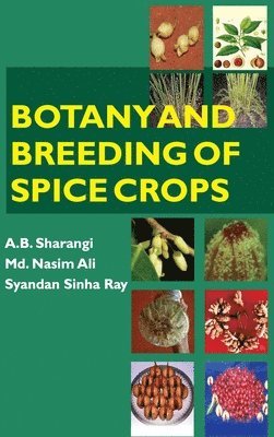 bokomslag Botany and Breeding of Spice Crops