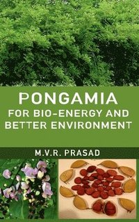 bokomslag Pongamia for Bio-Energy and Better Environment