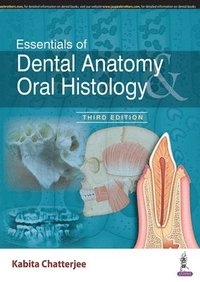 bokomslag Essentials of Dental Anatomy & Oral Histology