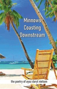bokomslag Minnows Coasting Downstream