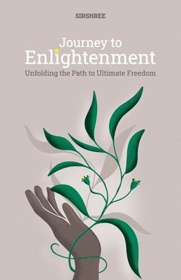 bokomslag Journey to Enlightenment