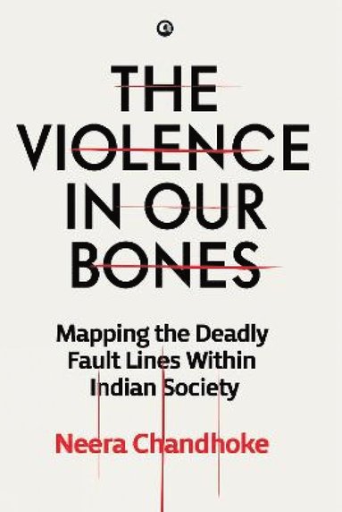 bokomslag Violence in Our Bones