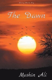 bokomslag Dawn