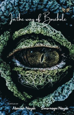 Abinash Nayak, Nayak ,Abinash - In The Way Of Borehole, Häftad