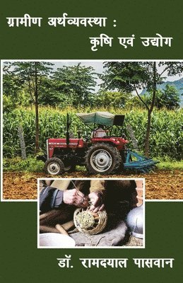 ग्रामीण अर्थव्यवस्था
