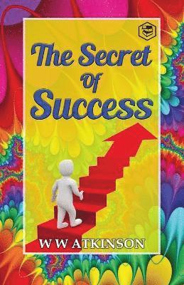 bokomslag Secret Of Success