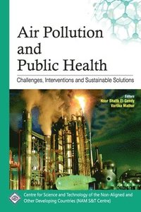bokomslag Air Pollution and Public Health