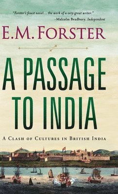 bokomslag Passage to India