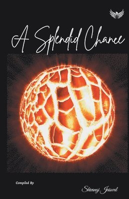 bokomslag Splendid Chance
