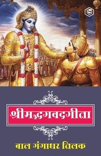 bokomslag Srimad Bhagwat Geeta in Hindi